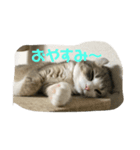 どらとなつつのスタンプ（個別スタンプ：7）