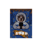 脱力トイプードル  ちゃま スタンプ（個別スタンプ：8）