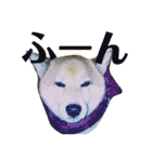 柴犬タロー2 ちょっと北海道弁（個別スタンプ：32）