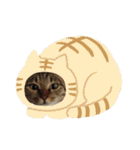 ちーとこすぺしゃる（個別スタンプ：14）