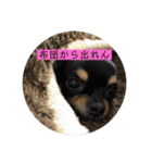 ちーとこすぺしゃる（個別スタンプ：27）