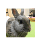 ぞのスタ（個別スタンプ：7）