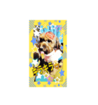 愛犬ruby1（個別スタンプ：7）