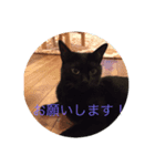 にょっきの（個別スタンプ：7）
