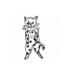 猫のマロマロ（個別スタンプ：5）