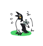 飛びたいペンギン（個別スタンプ：34）