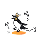 飛びたいペンギン（個別スタンプ：37）