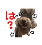Chao 'n Dale（個別スタンプ：4）