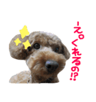 Chao 'n Dale（個別スタンプ：11）