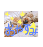 Chao 'n Dale（個別スタンプ：13）