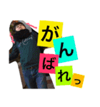 まいにちかいじゅう2（個別スタンプ：11）