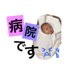 まいにちかいじゅう2（個別スタンプ：19）
