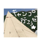 植物と美味しいもの365日（個別スタンプ：5）