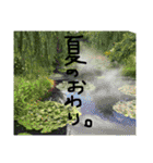 植物と美味しいもの365日（個別スタンプ：8）