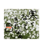 植物と美味しいもの365日（個別スタンプ：13）