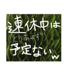 植物と美味しいもの365日（個別スタンプ：18）