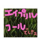 植物と美味しいもの365日（個別スタンプ：19）