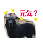 ちょっとした あいさつ（個別スタンプ：2）