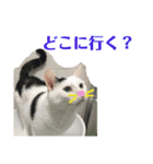 ちょっとした あいさつ（個別スタンプ：6）