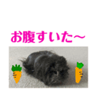 ちょっとした あいさつ（個別スタンプ：8）