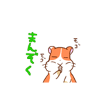 ポンポンの謎スタンプ（個別スタンプ：6）