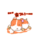 ポンポンの謎スタンプ（個別スタンプ：22）