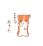 ポンポンの謎スタンプ（個別スタンプ：39）