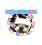 フレンチブルドッグ-ろけっと1（個別スタンプ：10）