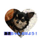 あきちゃんに送るスタンプ！！（個別スタンプ：1）
