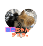 あきちゃんに送るスタンプ！！（個別スタンプ：4）
