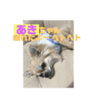 あきちゃんに送るスタンプ！！（個別スタンプ：5）