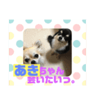 あきちゃんに送るスタンプ！！（個別スタンプ：6）