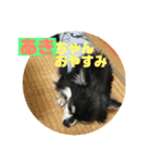 あきちゃんに送るスタンプ！！（個別スタンプ：7）