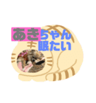 あきちゃんに送るスタンプ！！（個別スタンプ：9）