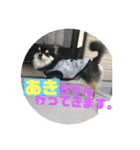 あきちゃんに送るスタンプ！！（個別スタンプ：12）