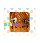 あきちゃんに送るスタンプ！！（個別スタンプ：13）
