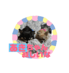 あきちゃんに送るスタンプ！！（個別スタンプ：14）