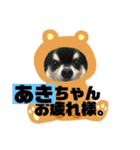 あきちゃんに送るスタンプ！！（個別スタンプ：15）