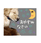 たいぞうスタンプ いち（個別スタンプ：2）