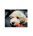たいぞうスタンプ いち（個別スタンプ：4）