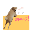 たいぞうスタンプ いち（個別スタンプ：7）