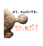 たいぞうスタンプ いち（個別スタンプ：12）