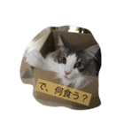シャルルん（個別スタンプ：16）