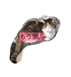 ゆいとみー（個別スタンプ：2）