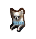ゆいとみー（個別スタンプ：5）