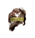 ゆいとみー（個別スタンプ：6）