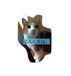 ゆいとみー（個別スタンプ：7）
