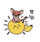 チワワと私（個別スタンプ：1）