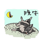 チワワと私（個別スタンプ：4）