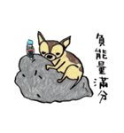 チワワと私（個別スタンプ：19）
